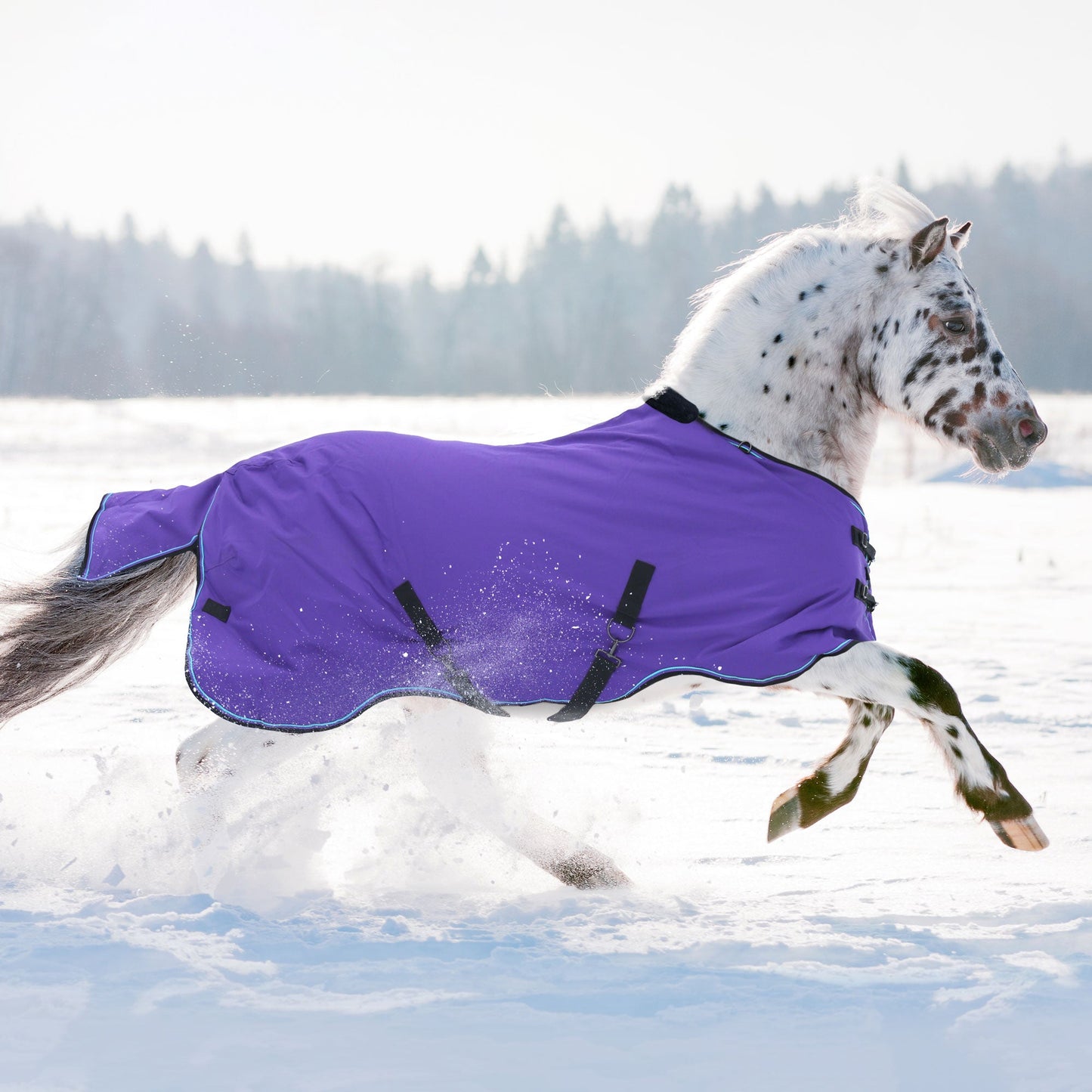 1200D Lightweight 80g Pony Winter Turnout Blanket - Waterproof & Breathable