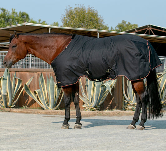 1200D Lightweight 80g Horse Winter Turnout Blanket - Waterproof & Breathable
