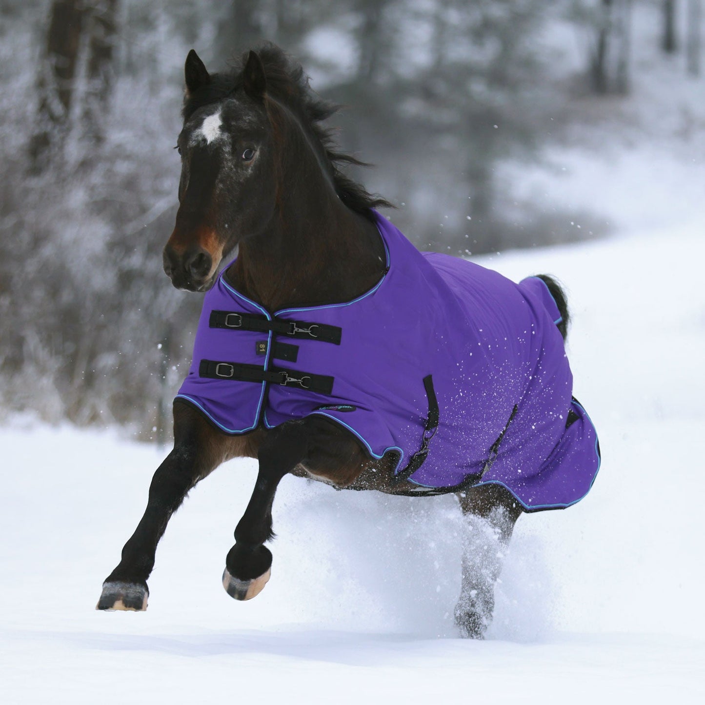 1200D Midweight 180g Horse Winter Turnout Blanket - Waterproof & Breathable