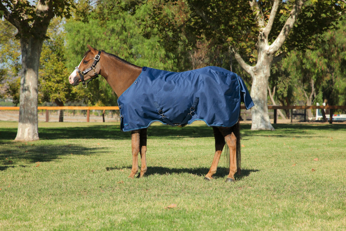 1200D Lightweight 80g Pony Winter Turnout Blanket - Waterproof & Breathable