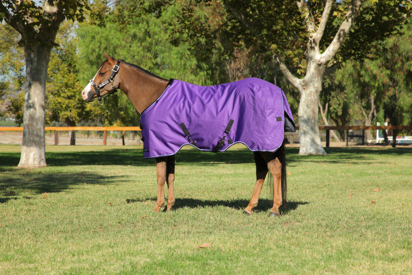 1200D Lightweight 80g Pony Winter Turnout Blanket - Waterproof & Breathable