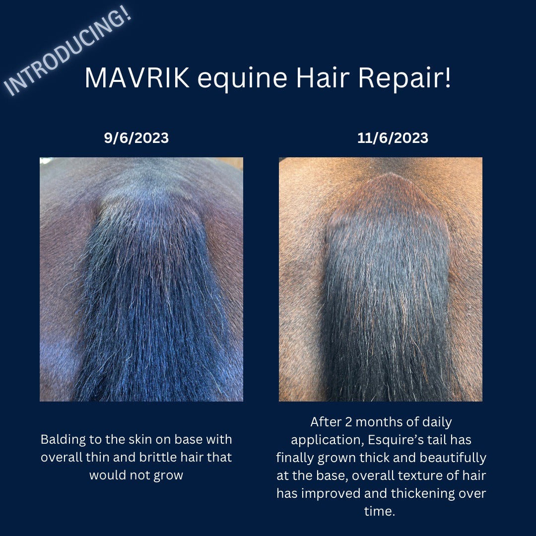 MAVRIK Hair, Coat and Scar Repair | Hair Regrowth Oil