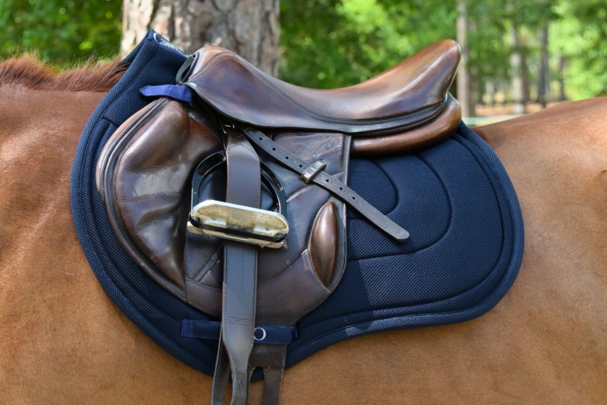 Jump Mesh Saddle Pad with Quick Dry Cotton Lining in Navy, White, or Black