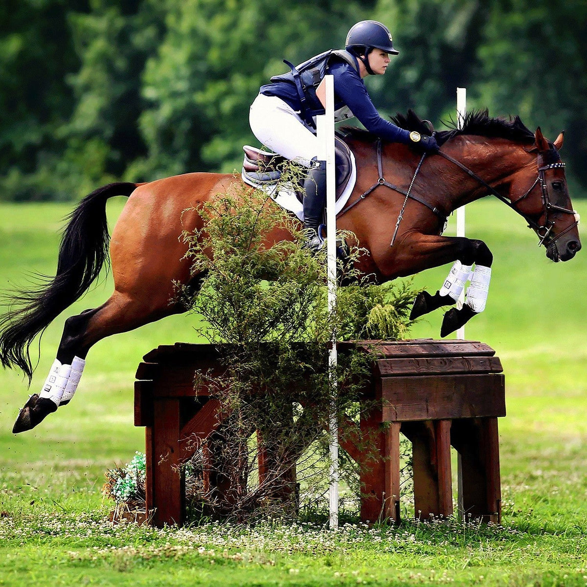 MAJYK EQUIPE® Eventing 4 Pack - (Fronts and Hinds) Boyd Martin Series