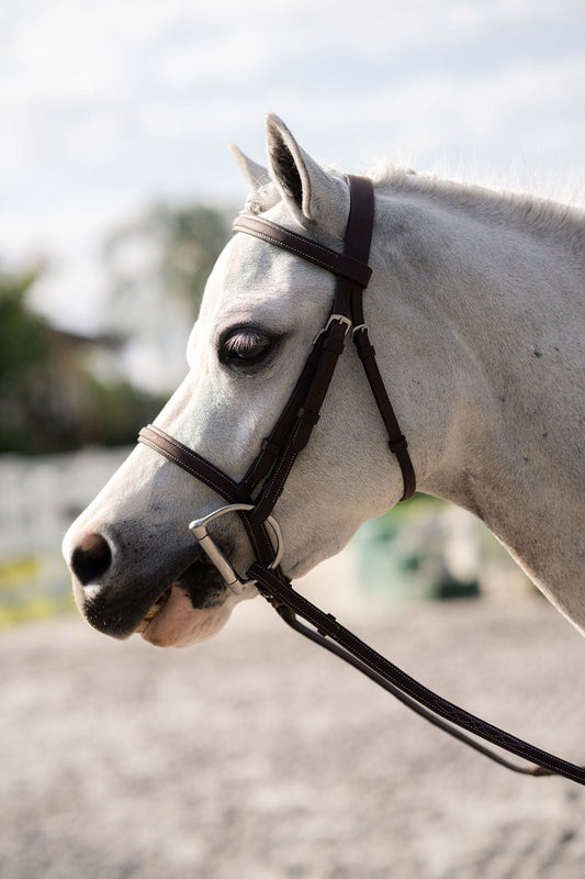 Farnley Bridle