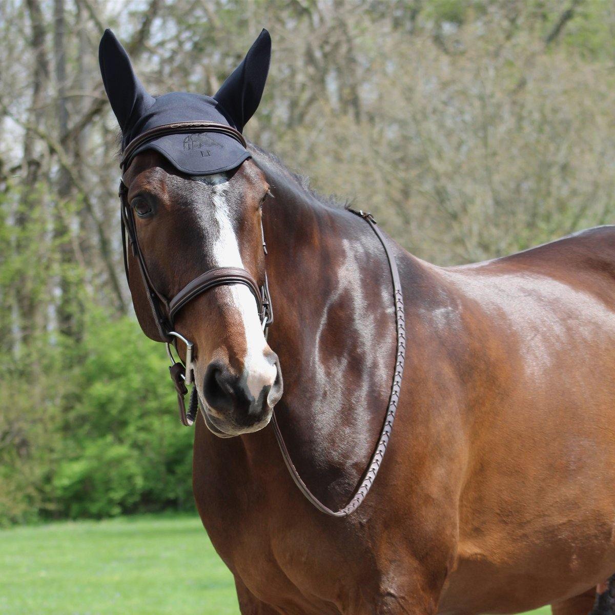 LT® Horse Ear Bonnet