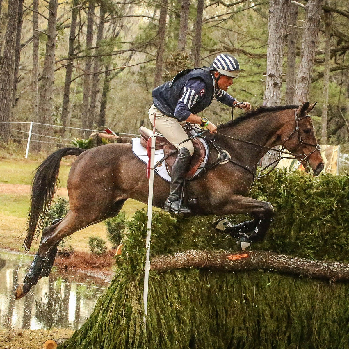 MAJYK EQUIPE® Eventing 4 Pack - (Fronts and Hinds) Boyd Martin Series