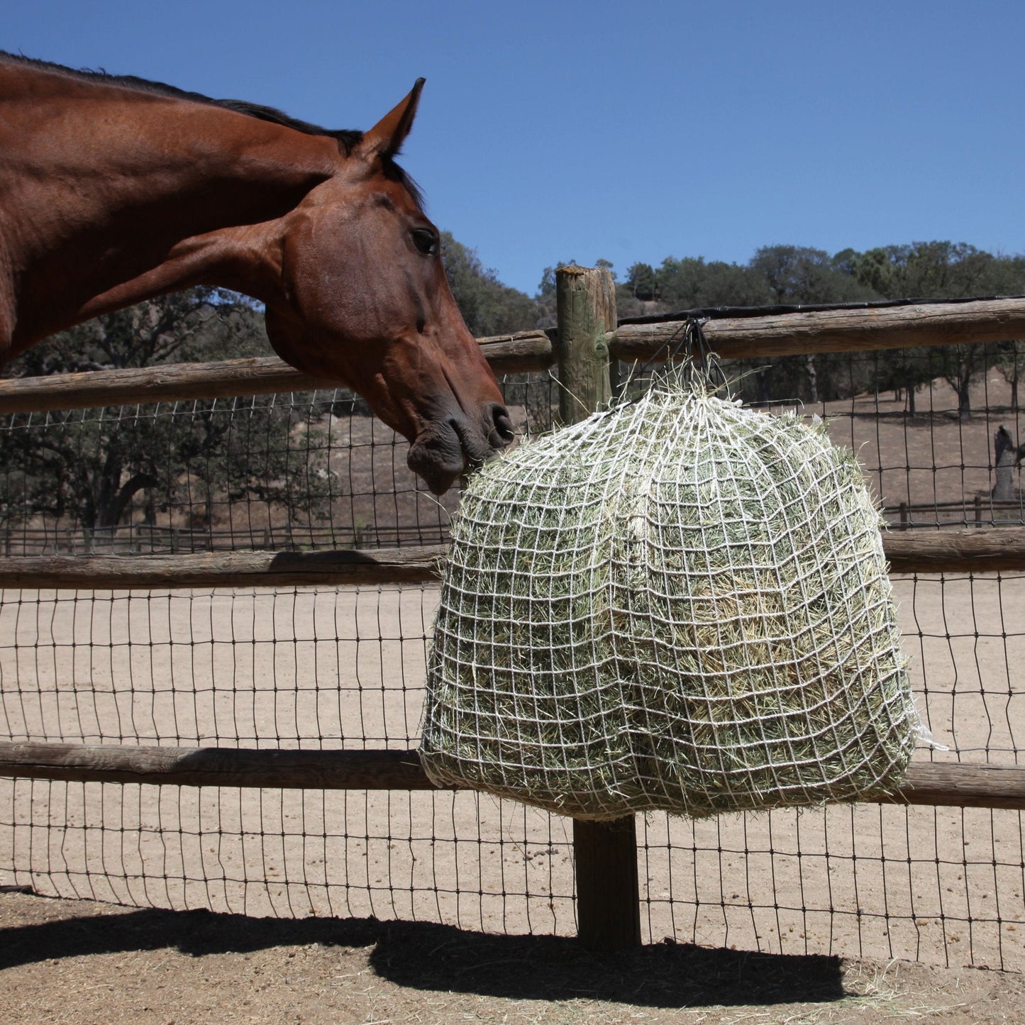 Freedom Feeder Day Net - Slow Feed Hay Net - 4 Flake - 3 Size Mesh Options