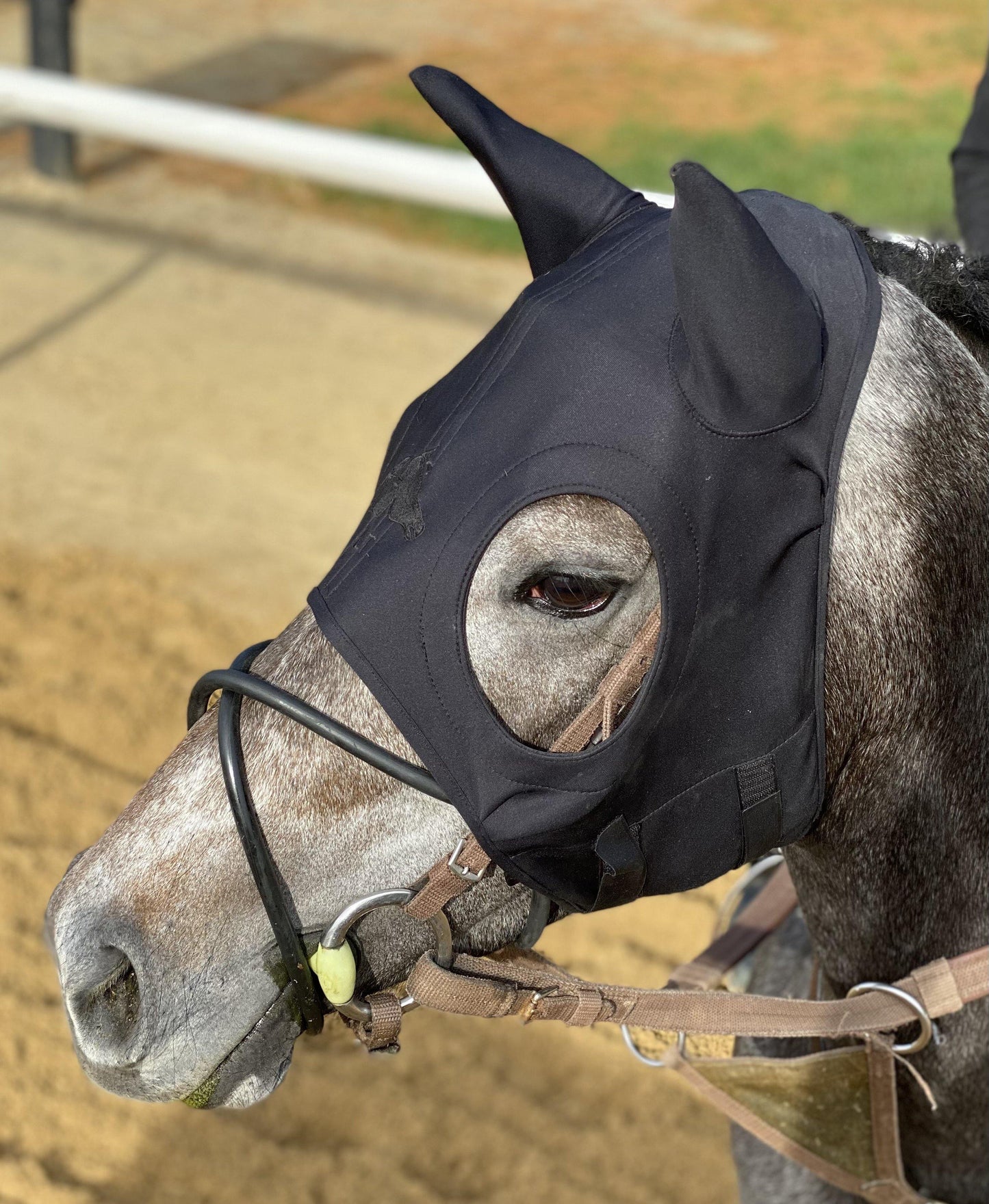 LT® Horse Mask with Ears