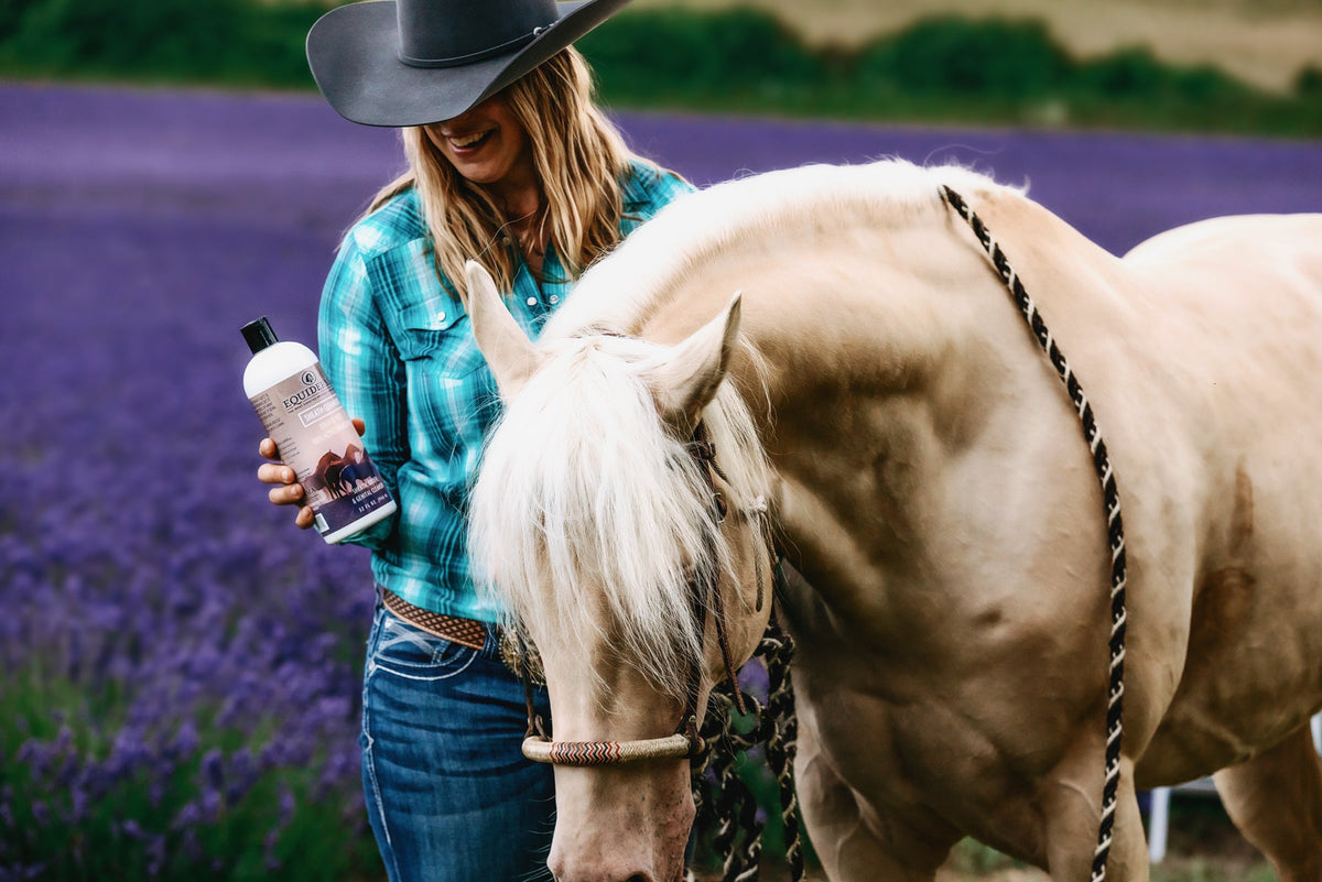Sheath & Udder Cleanser