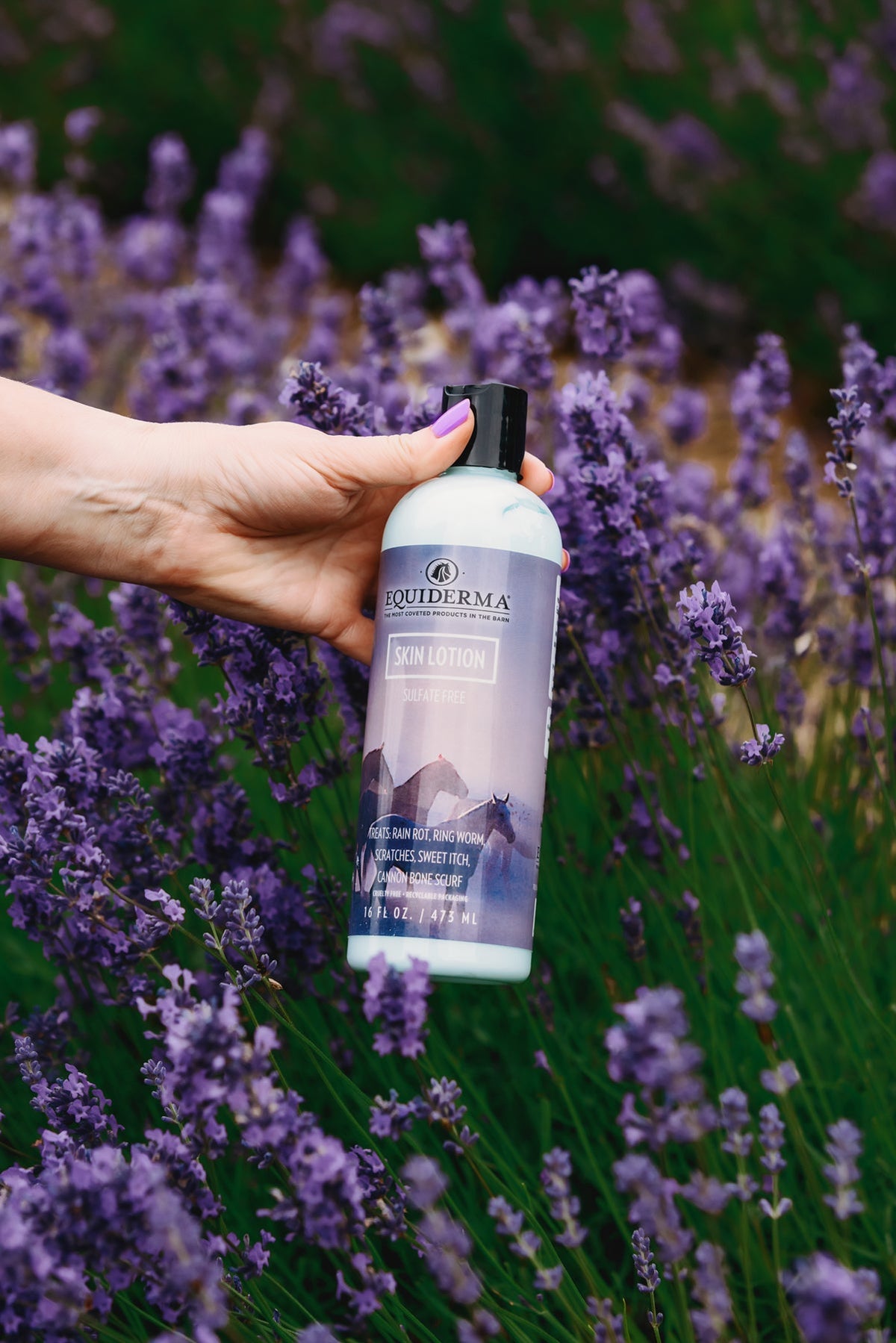 Skin Lotion