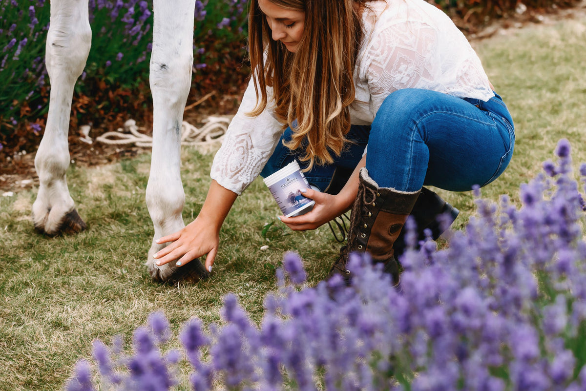 Zinc Oxide Paste (for Pastern Dermatitis)