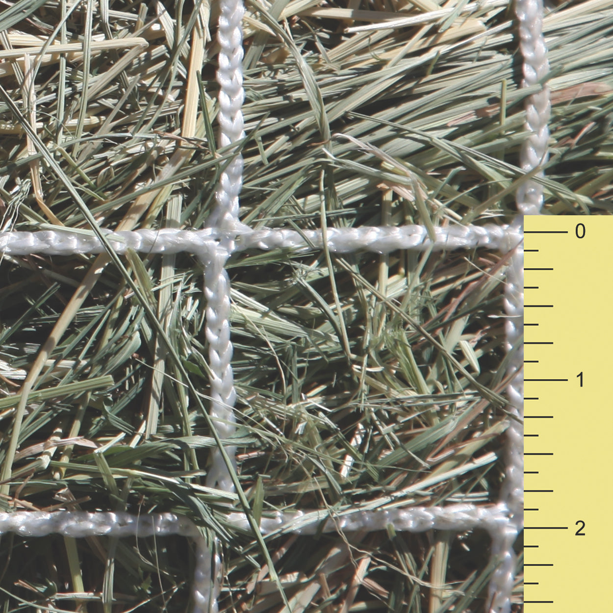Freedom Feeder Trailer/Mini Hay Net - Slow Feed Hay Net - 2 Flake  - 3 Size Mesh Options