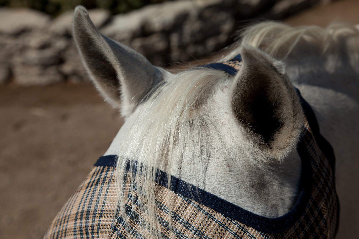 Fly Mask with 73% UV Protection - Open Top Design