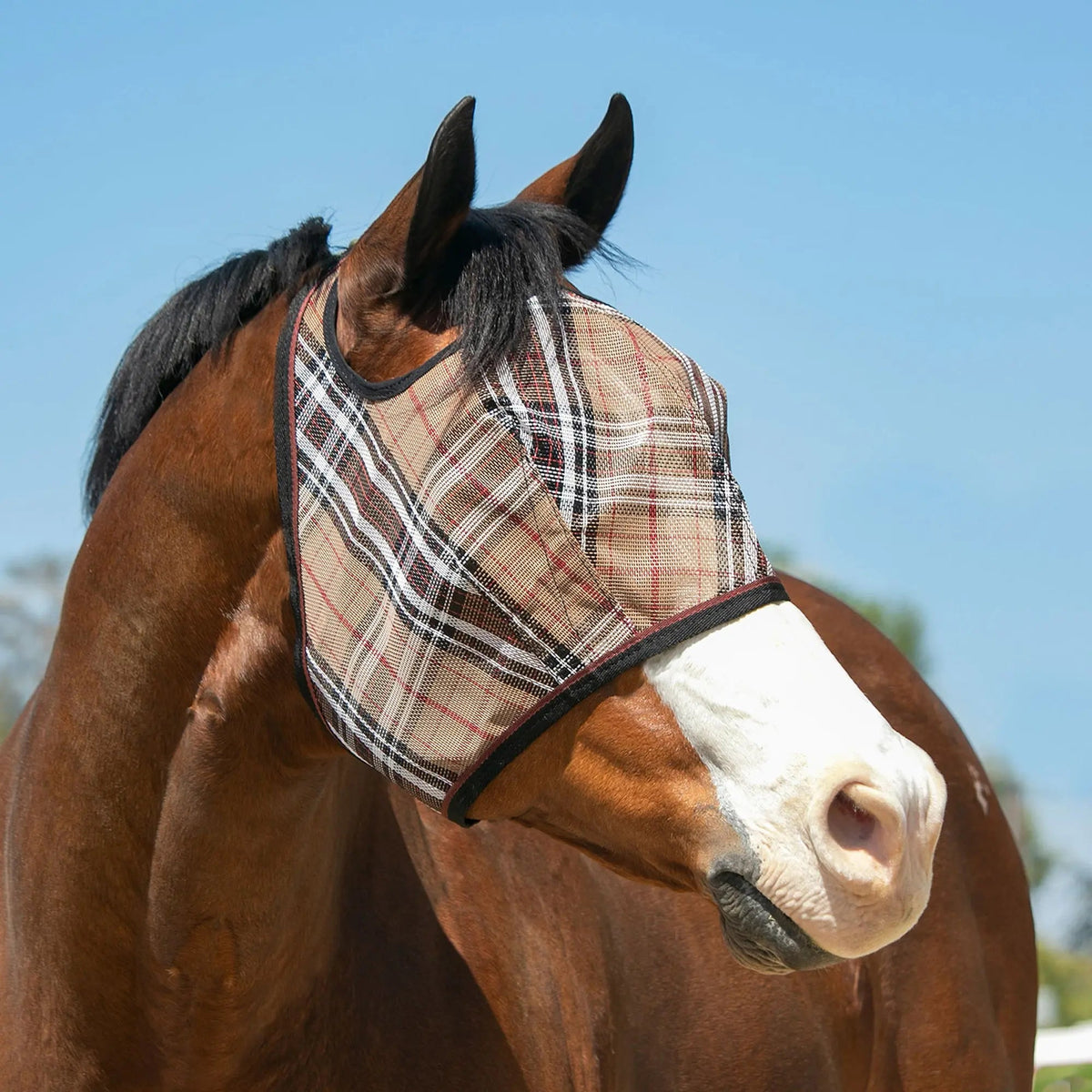 Fly Mask with 73% UV Protection - Open Top Design