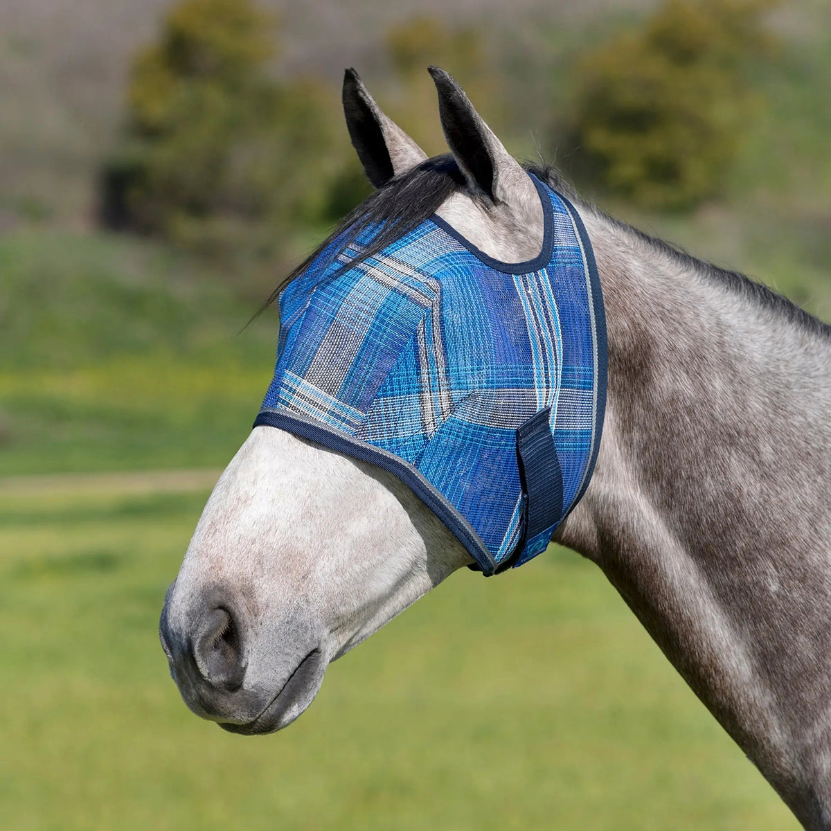 Fly Mask with 73% UV Protection - Open Top Design