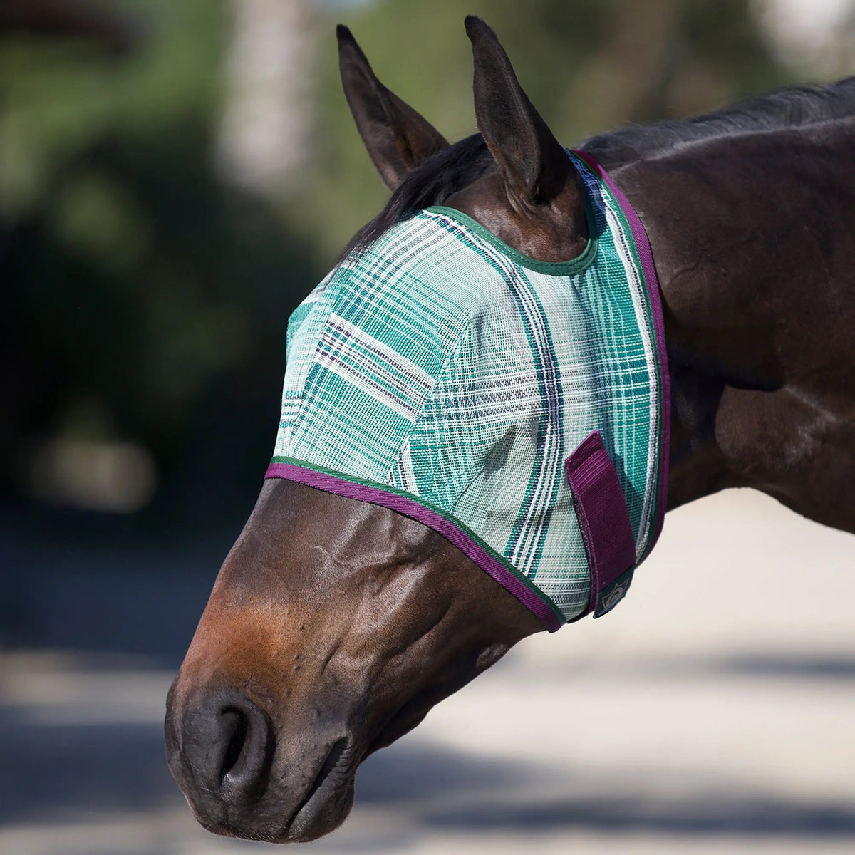 Fly Mask with 73% UV Protection - Open Top Design