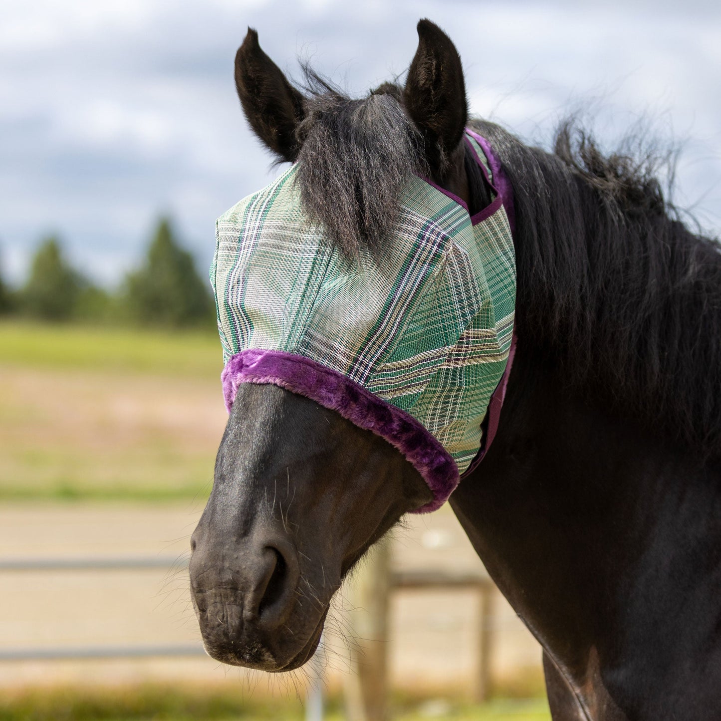 Draft Horse Fly Mask with Fleece Trim & 73% UV Protection - Open Top Design