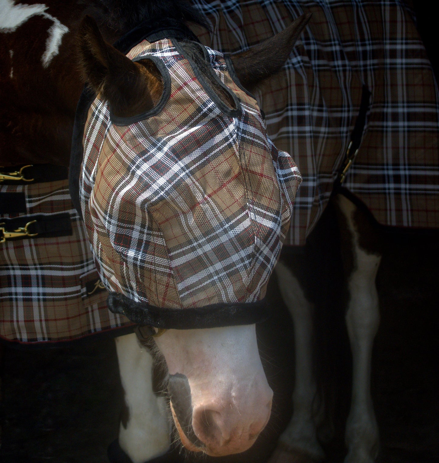 Draft Horse Fly Mask with Fleece Trim & 73% UV Protection