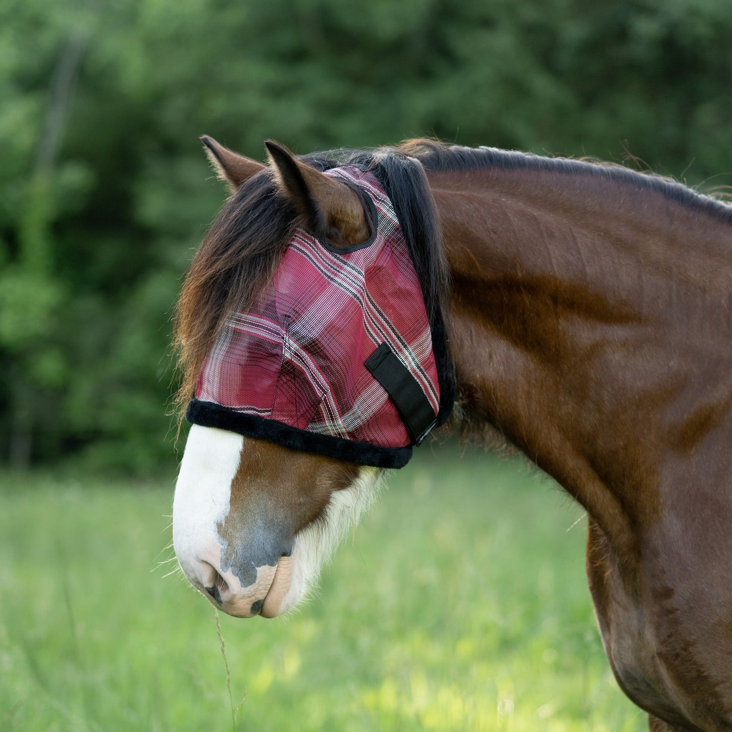 Draft Horse Fly Mask with Fleece Trim & 73% UV Protection