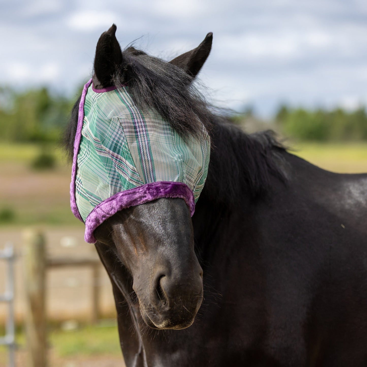 Draft Horse Fly Mask with Fleece Trim & 73% UV Protection