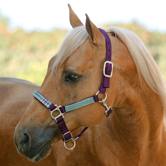 Reflective Nylon Halter with Textliene