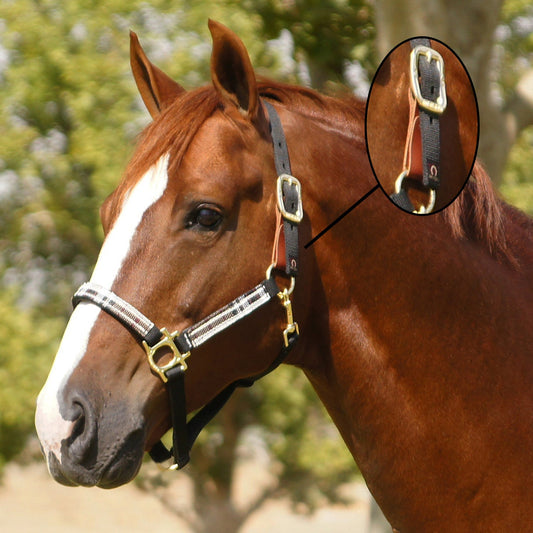 Reflective Breakaway Nylon Halter with Textliene