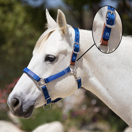 Reflective Breakaway Nylon Halter with Textliene