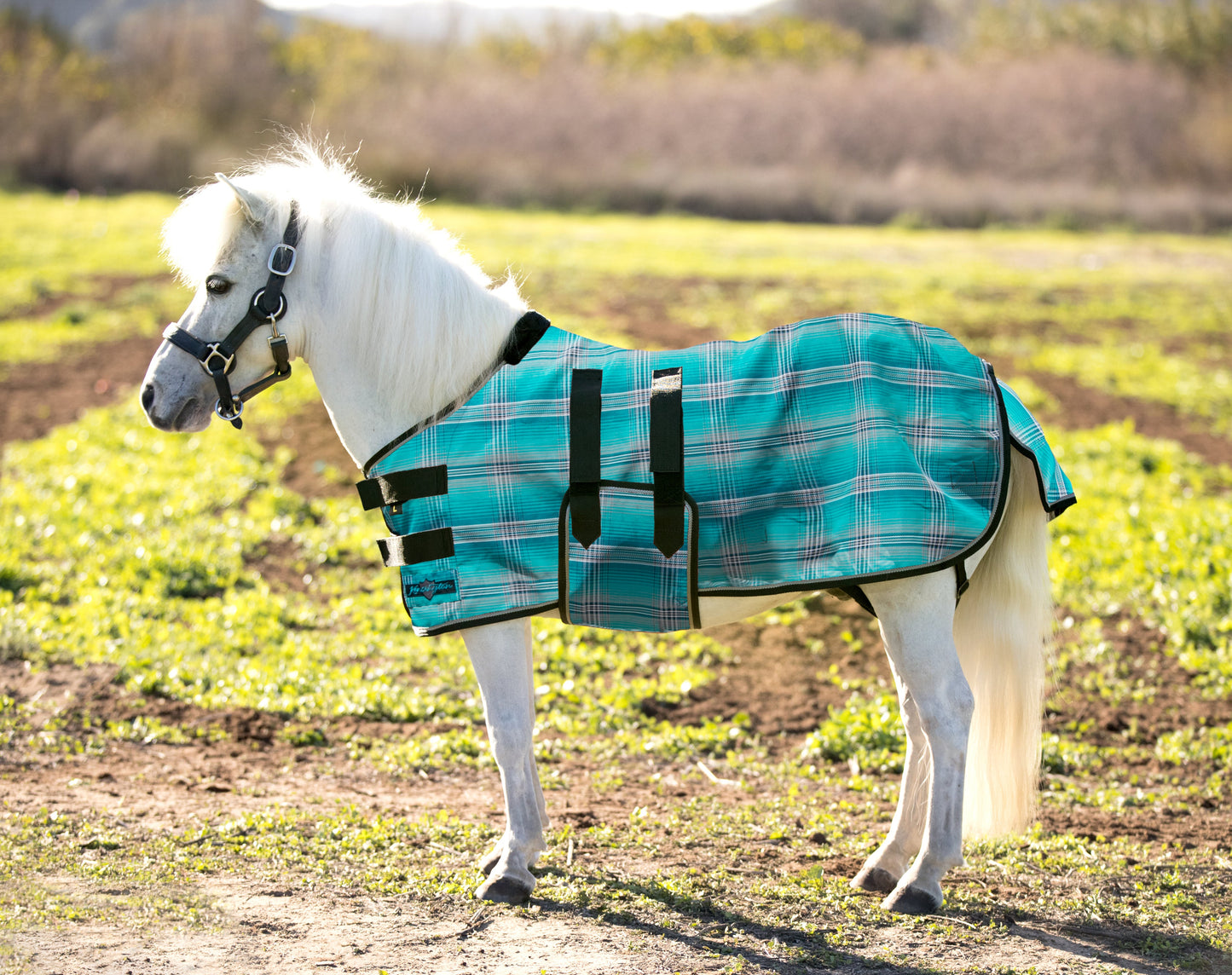 Mini Protective Fly Sheet with Belly Band - 73% UV Protection