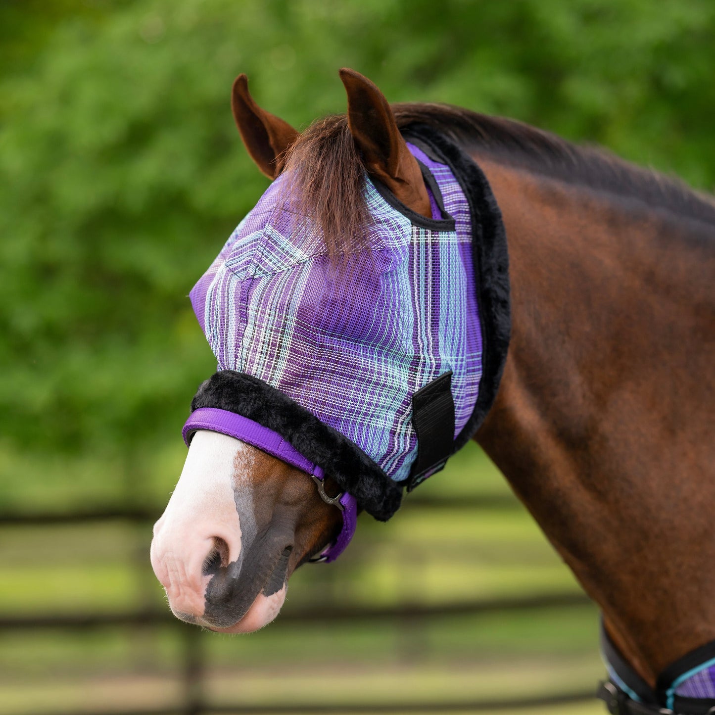 Mini Fly Mask with Fleece Trim - 73% UV Blocking