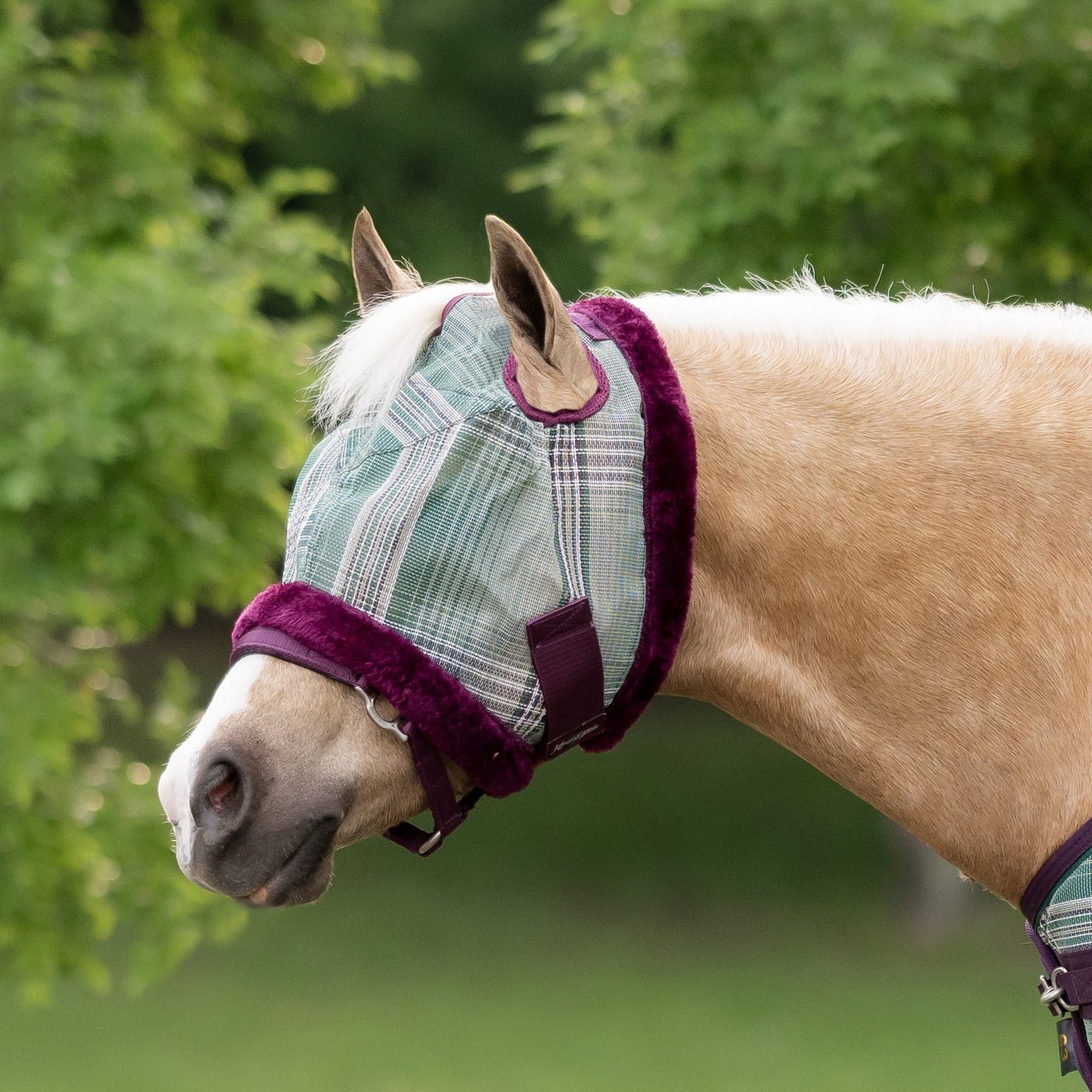 Mini Fly Mask with Fleece Trim - 73% UV Blocking
