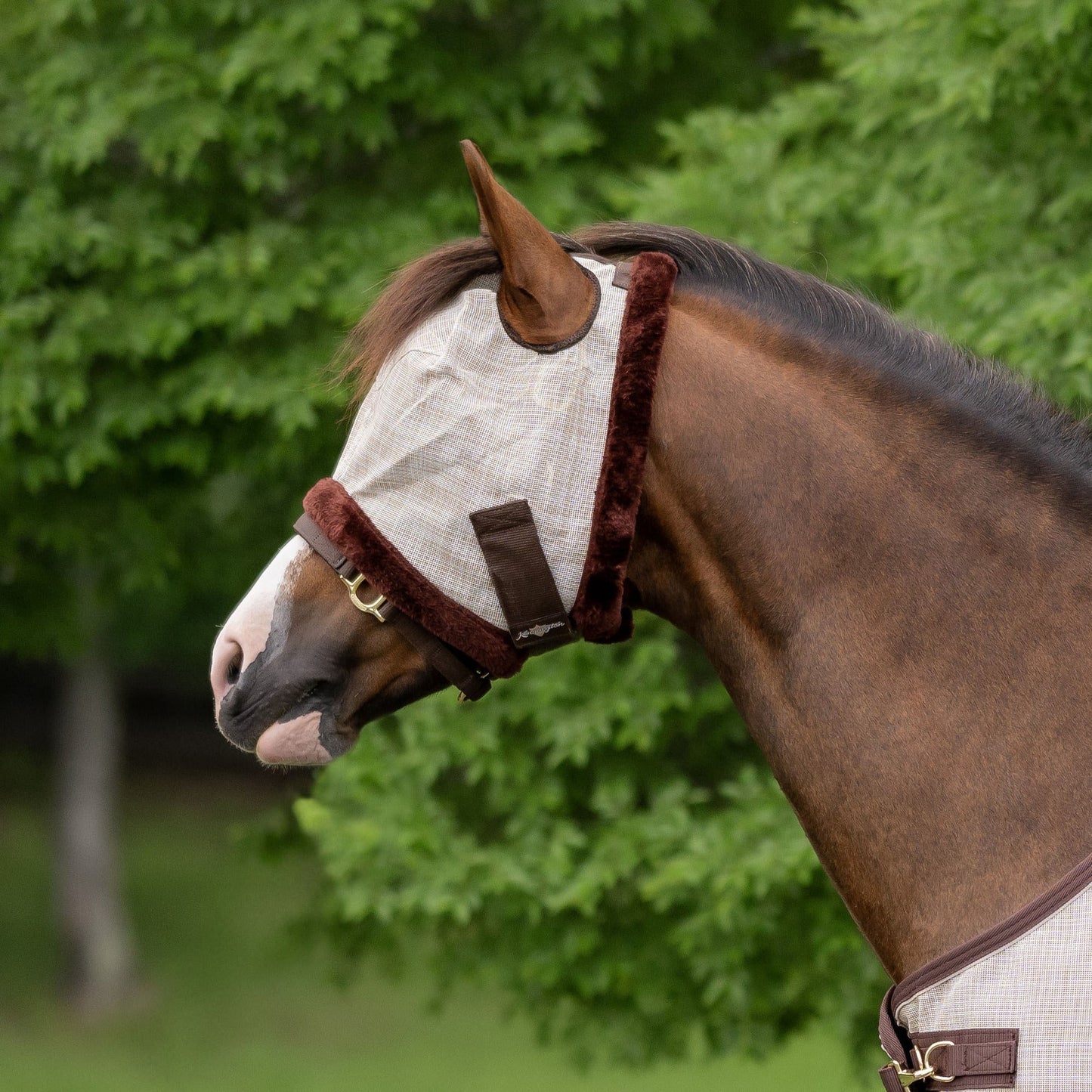Mini Fly Mask with Fleece Trim - 73% UV Blocking