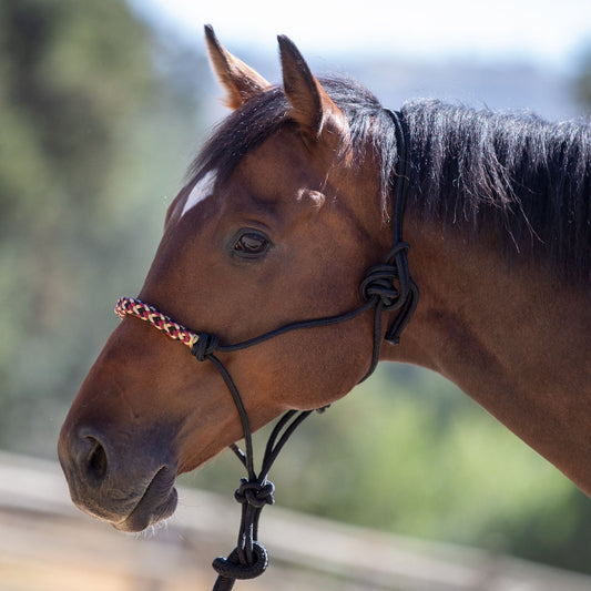 Clinician Training Rope Halter with Braided Nose