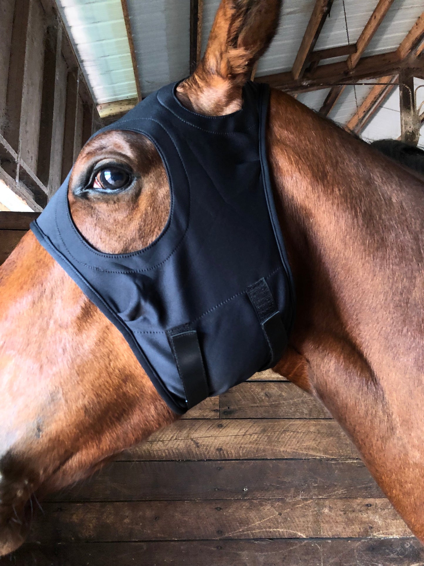 LT® Horse Mask with Sound Reducing  Ears