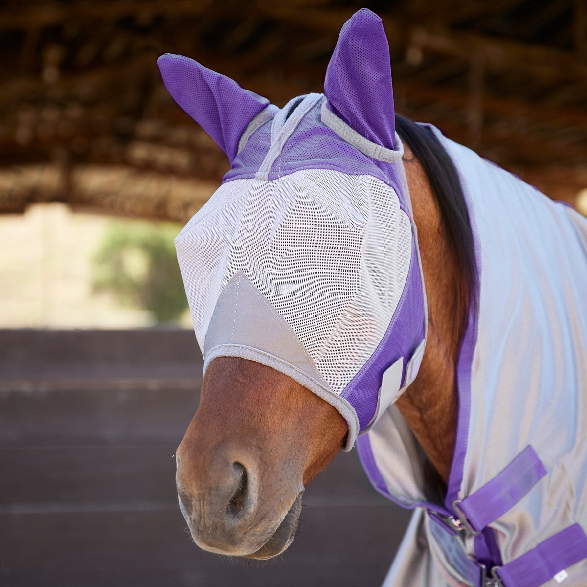 UV Protection Fly Mask - FINAL SALE