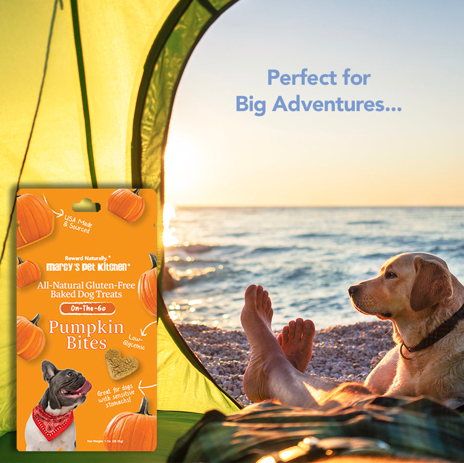 Marcy's Pet Kitchen® - 'On-The-Go' All-Natural, Vegan Pumpkin Biscuit 1oz