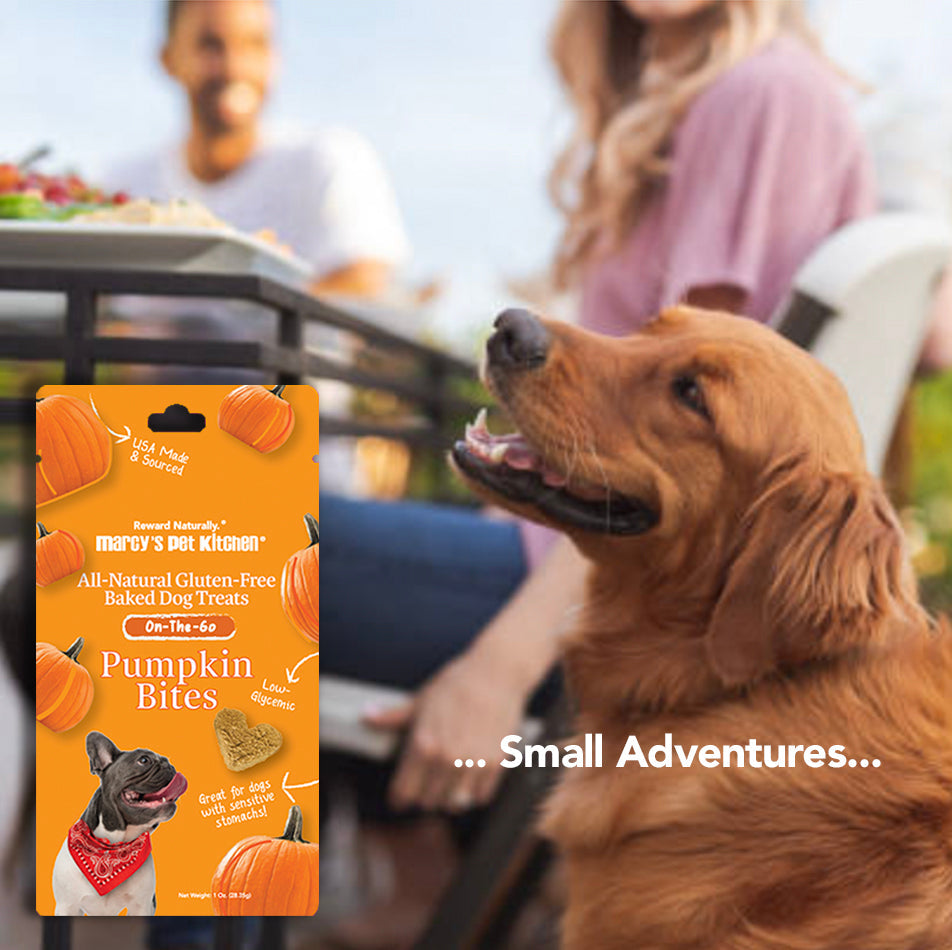 Marcy's Pet Kitchen® - 'On-The-Go' All-Natural, Vegan Pumpkin Biscuit 1oz