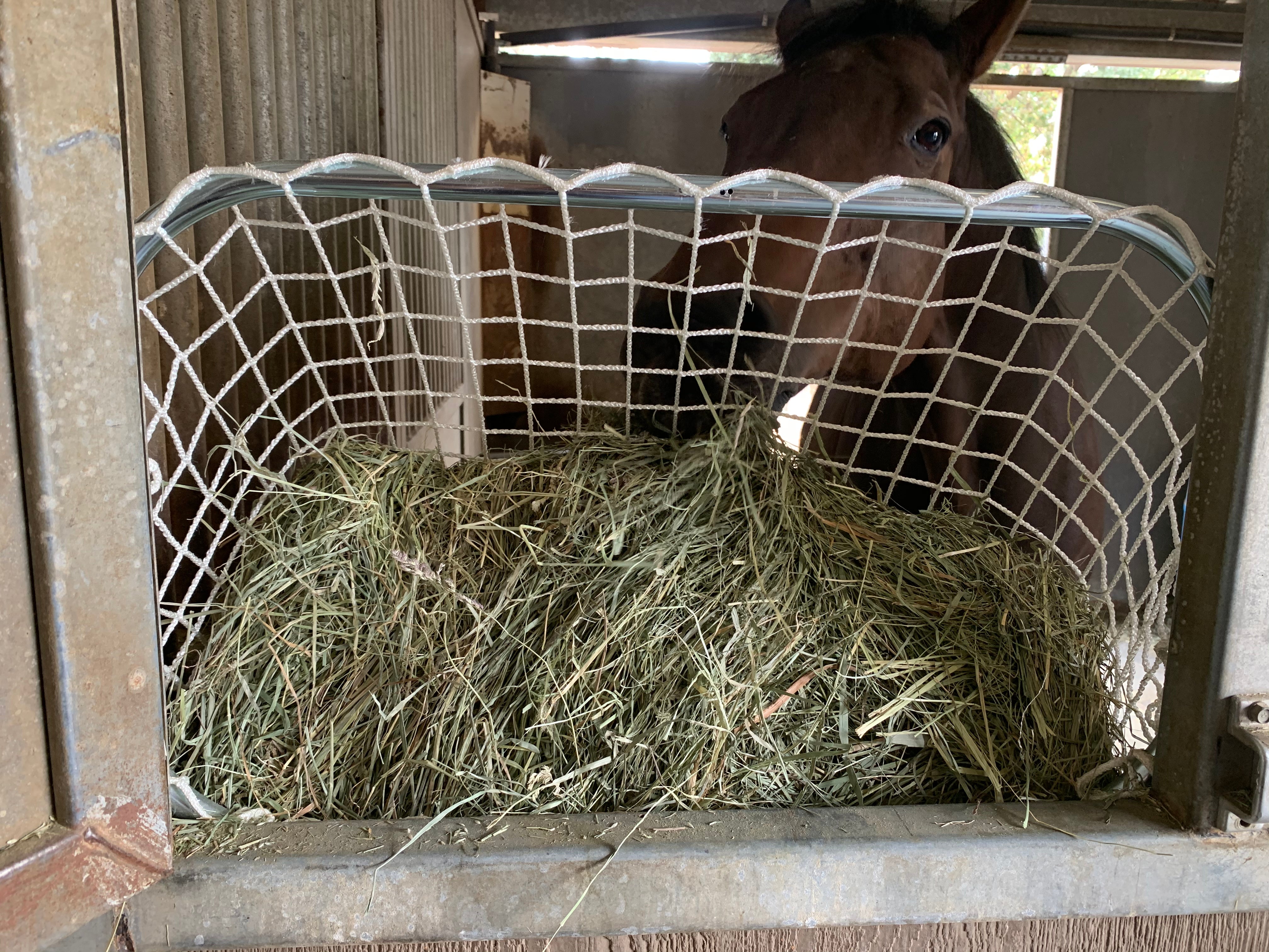 Hay Net Frame Freedom Feeder Frame - Slow Feed Hay Net Frame - Easy Slow Feed Soluti ...