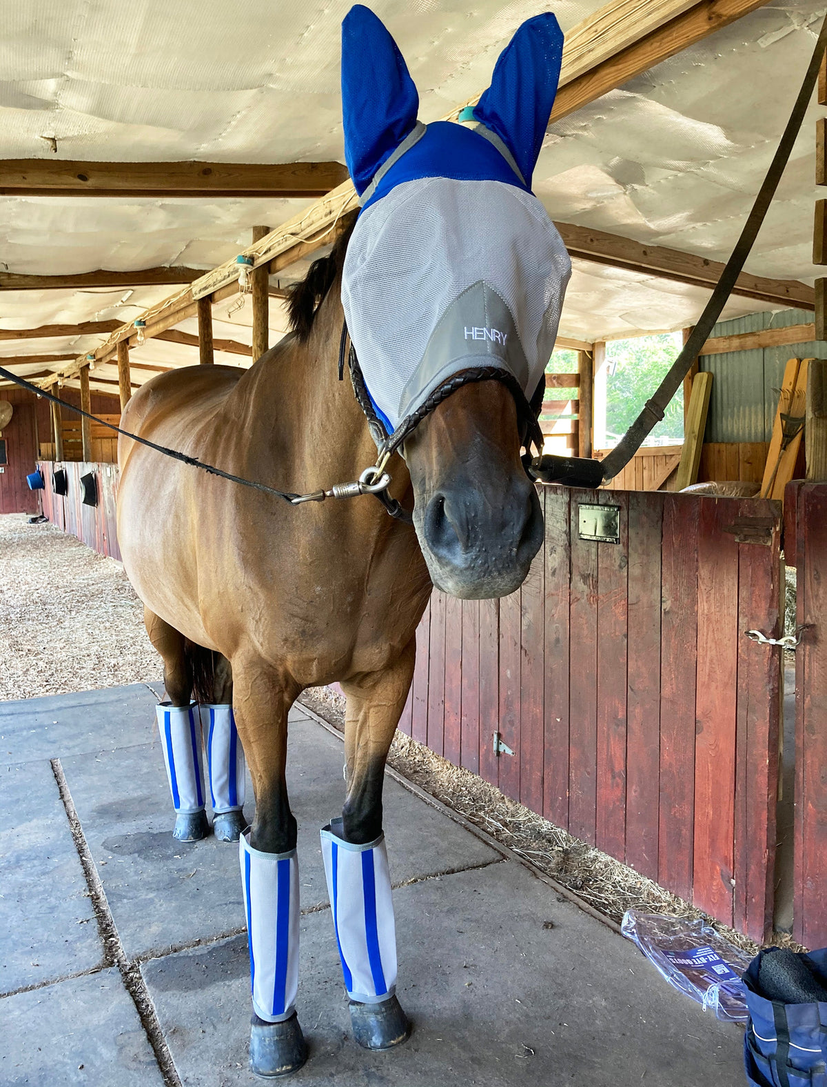 UV Protection Fly Mask - FINAL SALE
