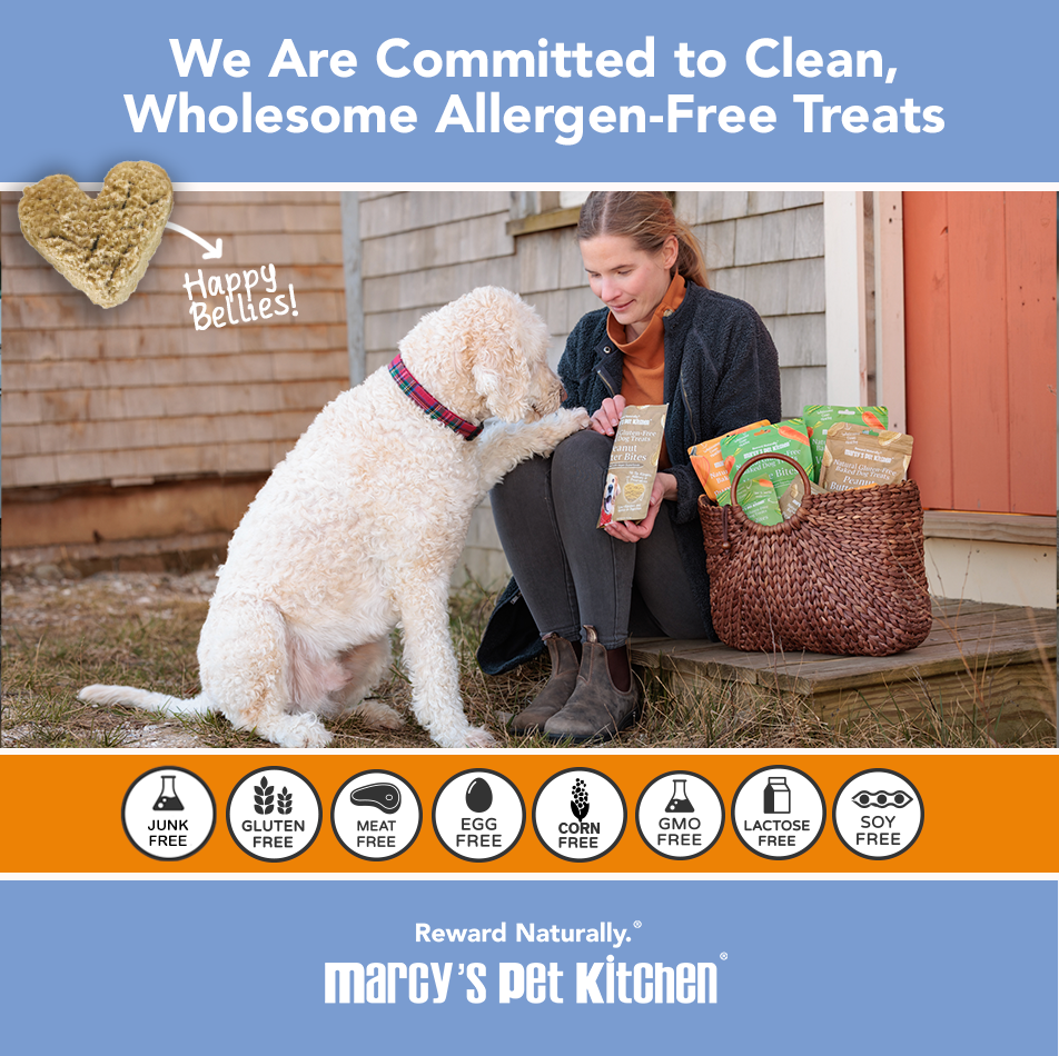 Marcy's Pet Kitchen® - 'On-The-Go' All-Natural, Vegan Pumpkin Biscuit 1oz