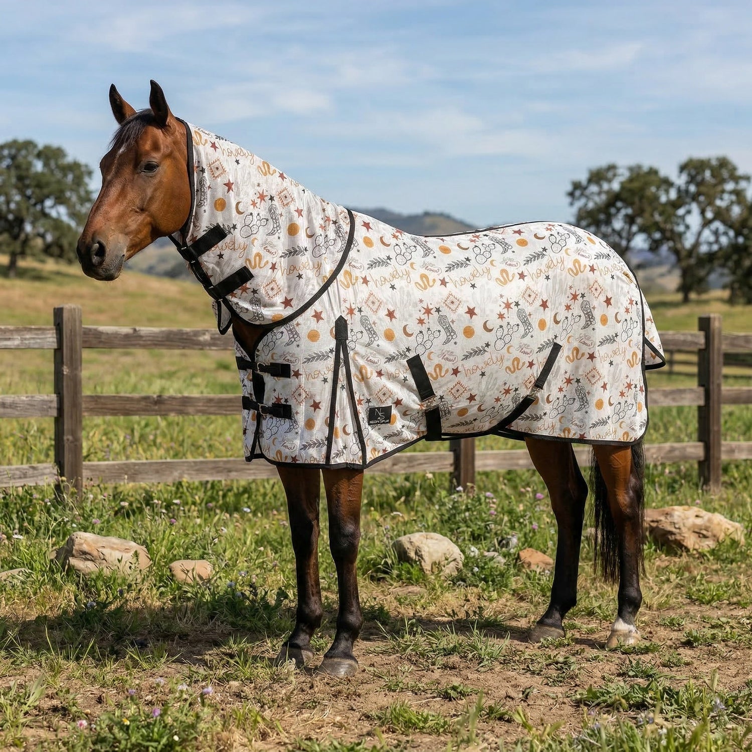 Blankets/Flysheets/Coolers