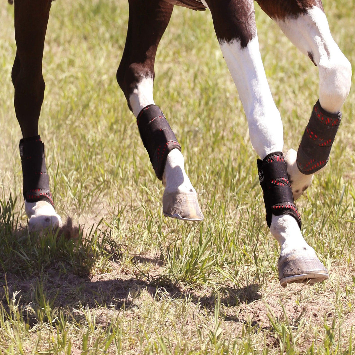 Color Elite XC Boot with ARTi-LAGE Technology (Front)
