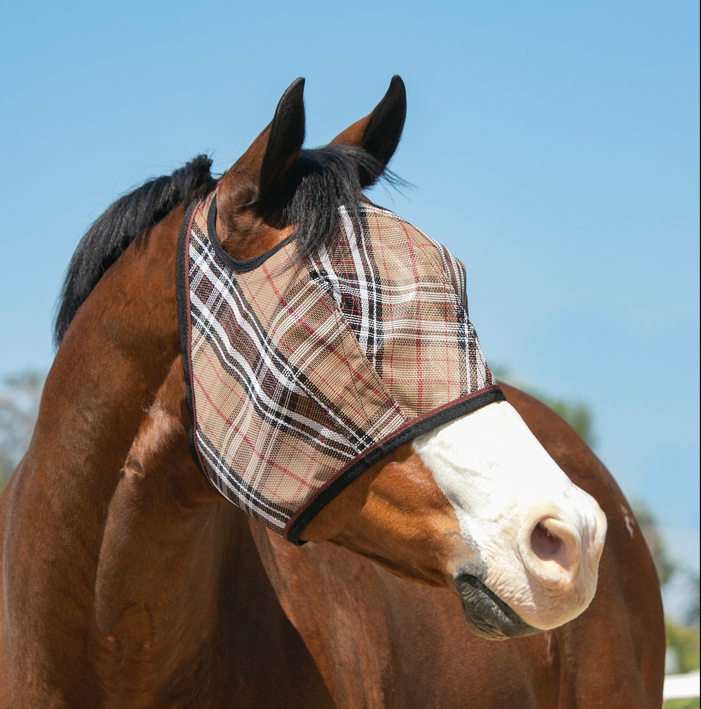 Fly Mask with 73% UV Protection - Open Top Design