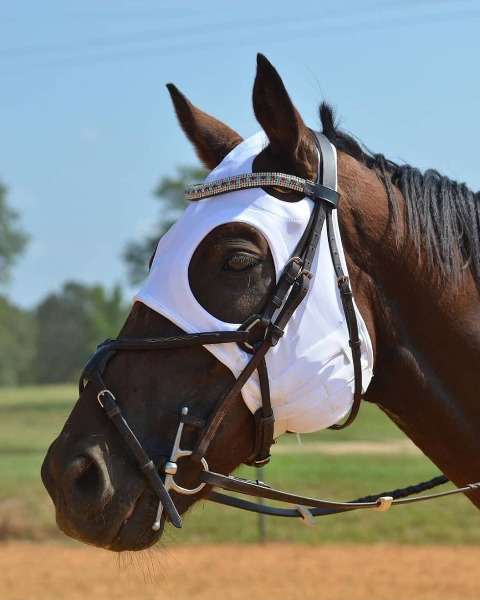 LT® Horse Mask