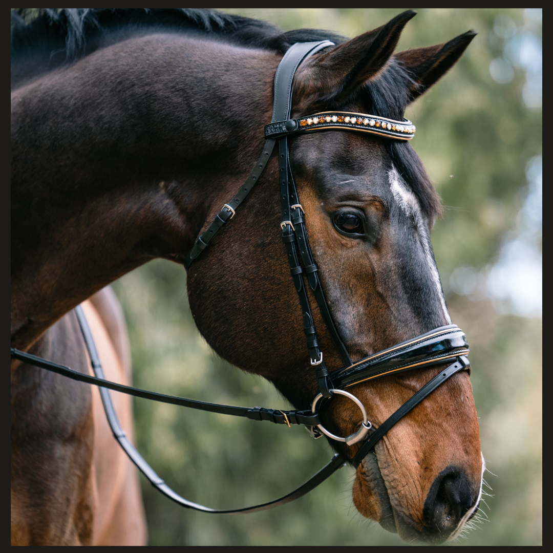 Bridles