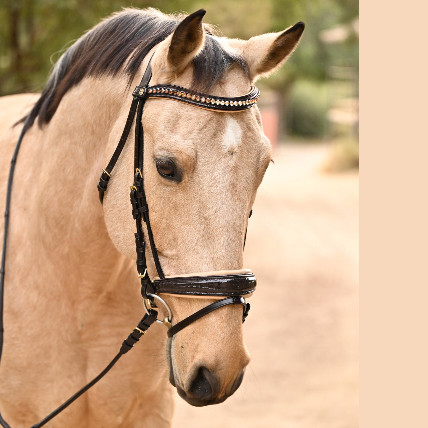 The Vienna Brown Patent Leather Snaffle Bridle with Bronze Golden Sparkle Piping