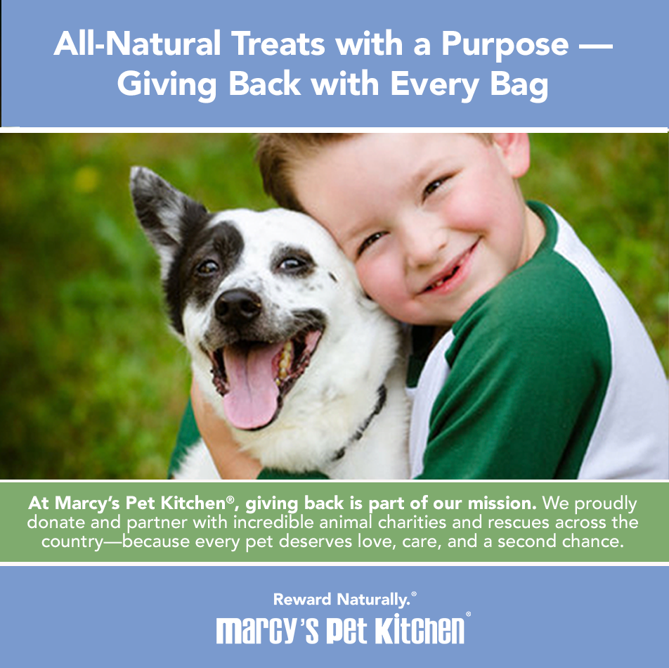 Marcy's Pet Kitchen® - 'On-The-Go' All-Natural, Vegan Veggie Biscuit 1 oz Healthy Dog Treats