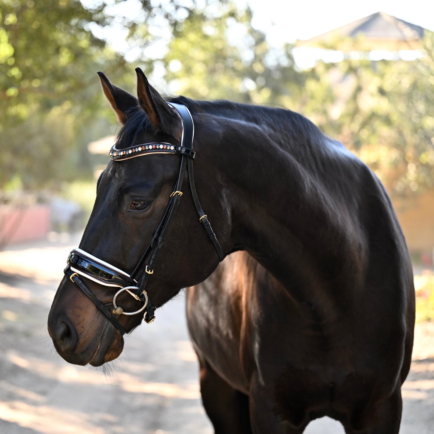 Bridles