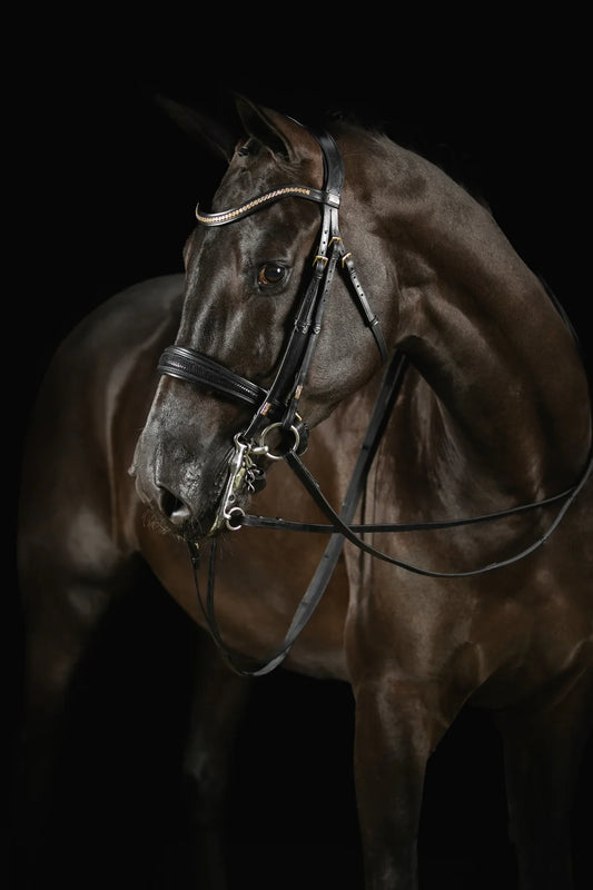 Deluxe Double Bridle Knight Power