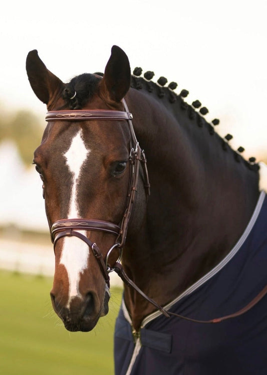 Kendall Bridle & Reins set